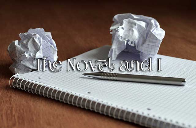 The Novel and I