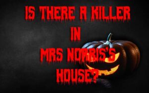 Is There a Killer in Mrs Norris’s House? by Nicole J. Simms